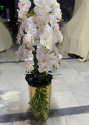 Arranjo de Orquídea