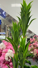 Árvore artificial Dracaena Warneckei