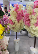 Cerejeira Mesclada Exclusiva Branca e Rosa