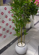 Árvore de bambu artificial